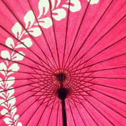 patternatic:  Japanese Umbrella #pattern
