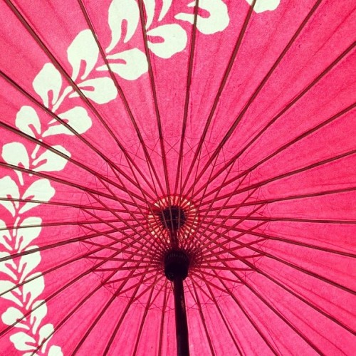 patternatic: Japanese Umbrella #pattern #umbrella (八瀬比叡山口駅)