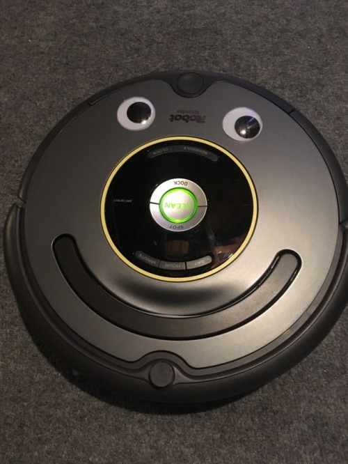 If putting googley eyes on a Roomba isn’t a good life decision then I don’t know what is