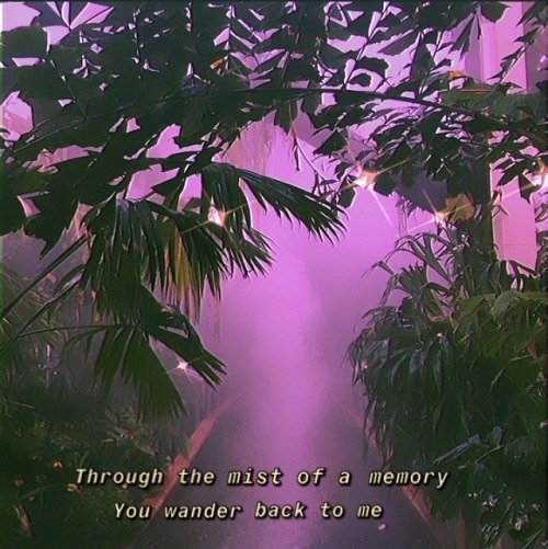 deeppurpledreams