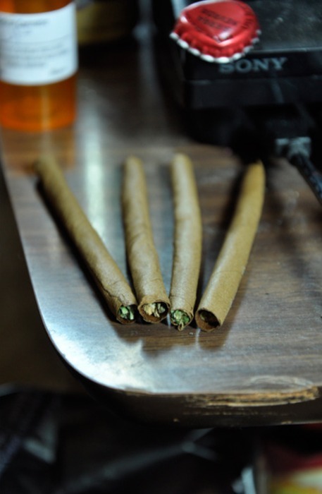 westcoaststoner420:  . 