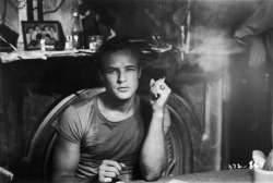 ineedartinmylife:  A street car named desire, Marlon Brando