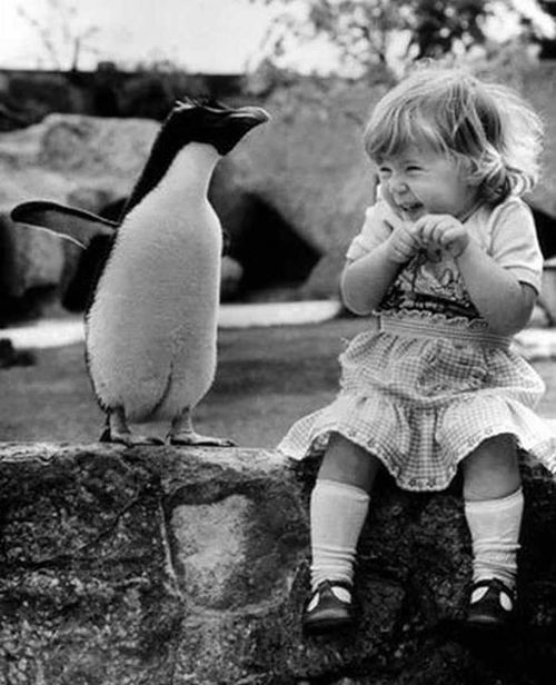 the-heat-in-my-bones:  Bello ♡ on We Heart It. http://weheartit.com/entry/90207395  I know a blonde that This penguin lover liked making smile big. He misses that.