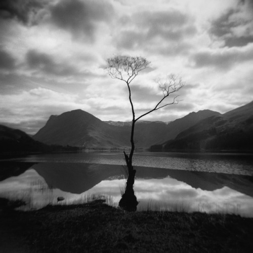 yeswearemagazine: yeswearemagazine: A lone wind shaped treeIn a peaceful landscapeHanging on in life