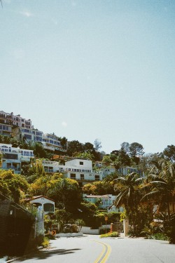 Colstal:drives Up The Hill Have Me In A Summer Daze. La Jolla, San Diego, California.