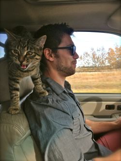 awwww-cute:  Girlfriend snagged this picture of our little brat trying to get my attention while I was driving