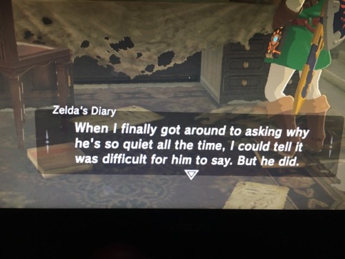 sonansu:  snowypumpkin: The cannon reason why Link doesn’t speak any npc: link why are you so quietl