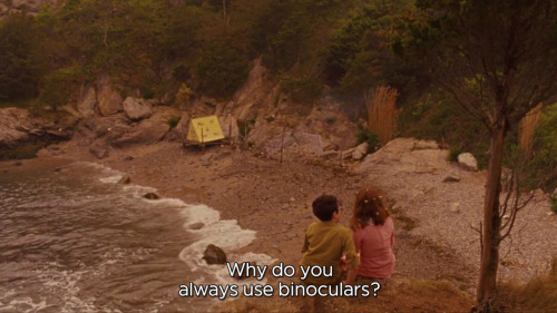 Moonrise Kingdom (2012)