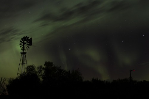suzirya:The northern lights drowned out the stars after a while but I didn’t even care. The to