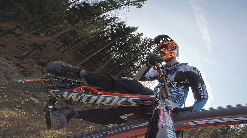 The Forest is my Playground