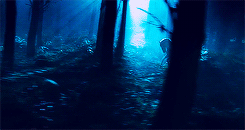 mastergamgee:The Fellowship of the Ring (2001) - Scenery