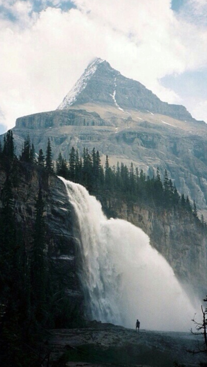 analalltheday: ehlockscreenstwo: Like or reblog if you save, sweetheartNature is amazing.ehlocks