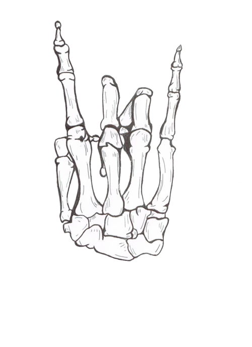 allthatglittersis-g0ld:  transparent  