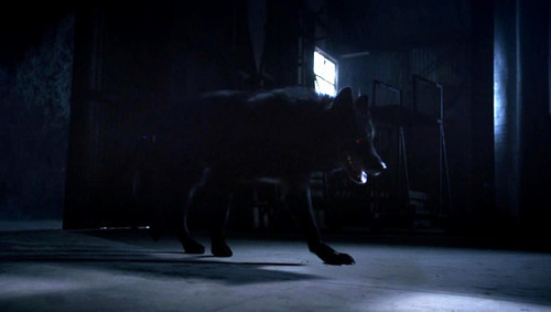 derek hale full alpha form