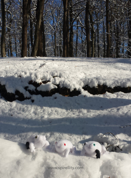 spirellity:Leucistic and Albino Plushies! For the Winter/Holiday edition I havea limited amount of l