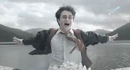 HAPPY 40TH BIRTHDAY HARRY JAMES POTTER, B. 31ST JULY 1980 