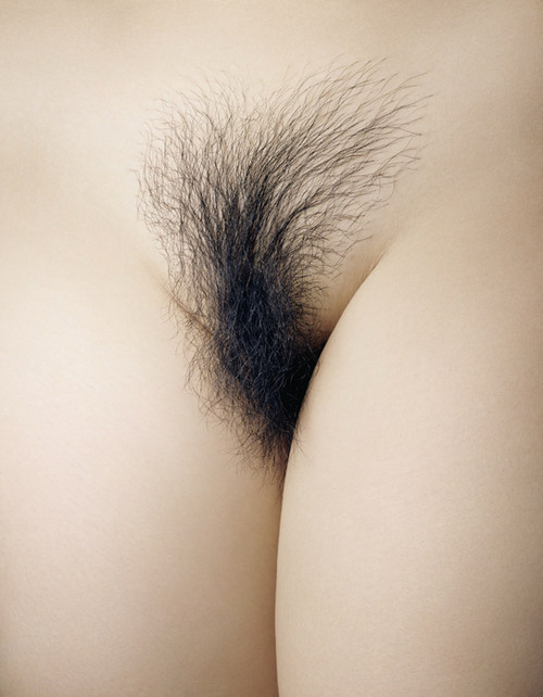 http://hairypussyland.tumblr.com/post/62961034372