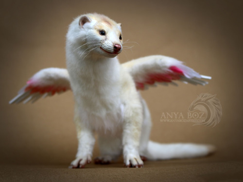 anyaboz:Winged Mink Room GuardianCommission NFSHoly Moly I am in love with this little mink! I don’t