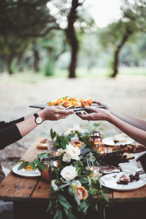 abrittann:  Dear Fall | Tessa Barton 