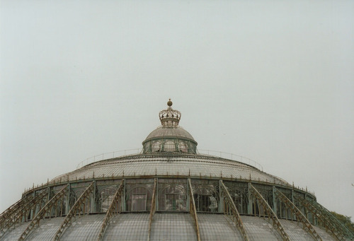 floralls:Royal Greenhouses in Laeken.Brussels /Belgium.by P.S. Mildred