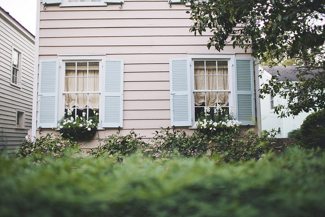 flawnder:  untitled by Olivia Rae James on Flickr. 