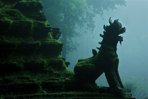 neuromaencer: Wat Palad, Chiang Mai, Thailand / by john spies