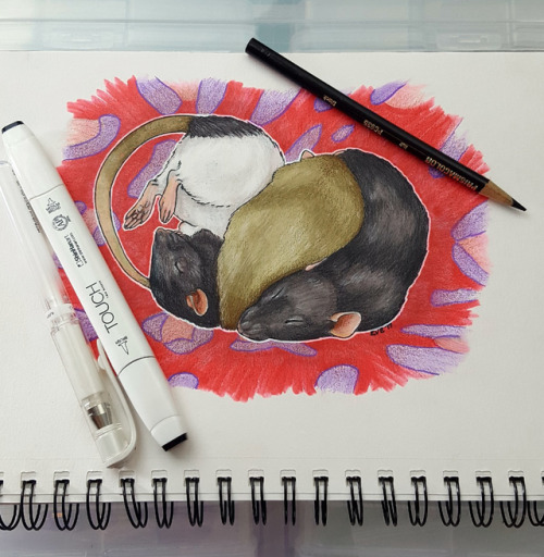 never-mor:
“I needed to draw. This is a gift. C:
”
A gorgeous piece of art with the loveliest models!
Follow @herorats for more art discoveries (always with more rats!)