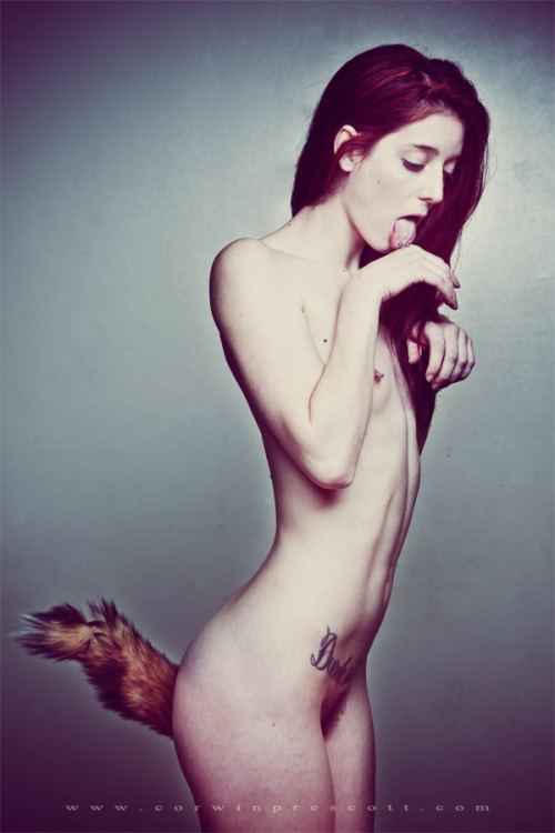 aine-kitten:  Tail appreciation post  adult photos