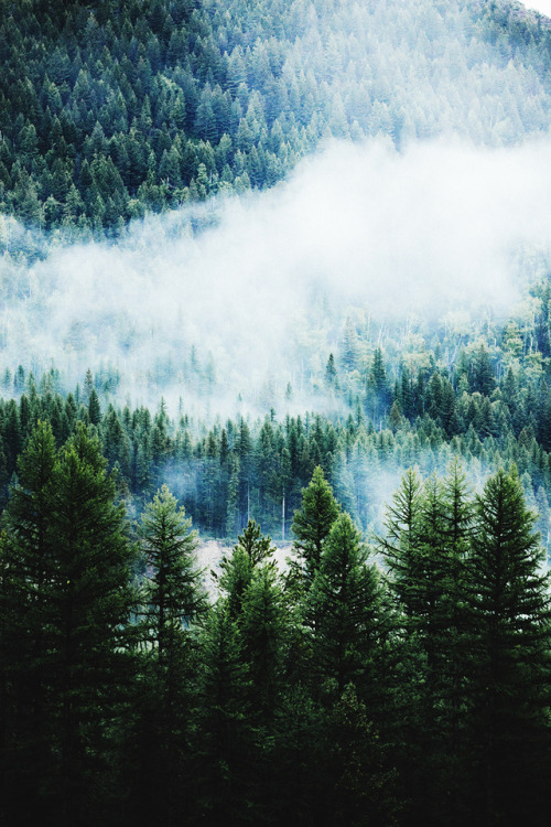 motivationsforlife: Moody Morning in Montana by Justin Kauffmann