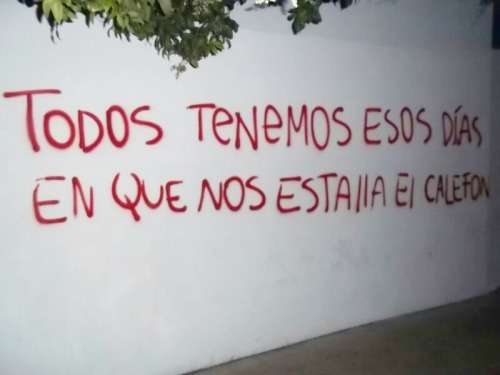 Cara de culo