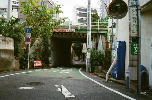 matsphoto: 2014.11 Sugamo, Tokyo [Leica M4 / Colorskopar 35mm F2.5]