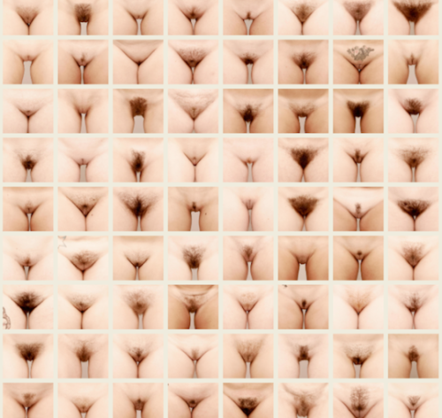 beachshowpussy: REBLOG