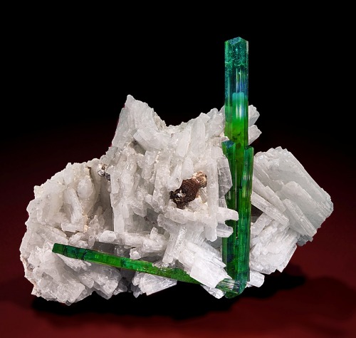 Tourmaline with Albite - Teixeirinha Mine, Itinga, Minas Gerais, Brazil