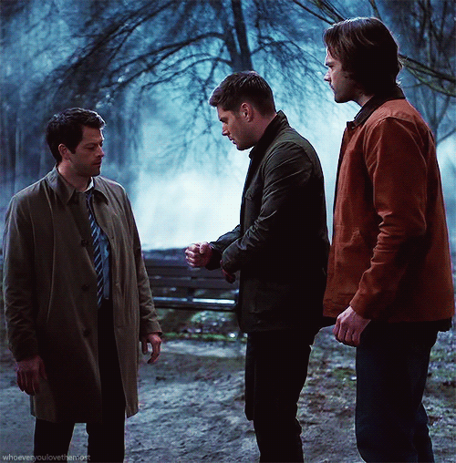 amyoatmeal:whoeveryoulovethemost:Team Free Will  I The Future I  12x19All I can think of when I look