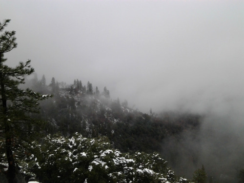 dreamofwaking:We drove through the clouds.