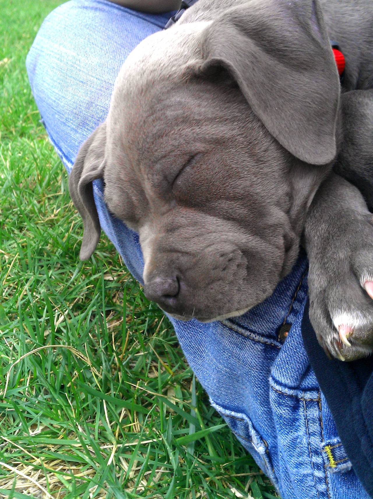 meghanwaslike:  GIMMIE!