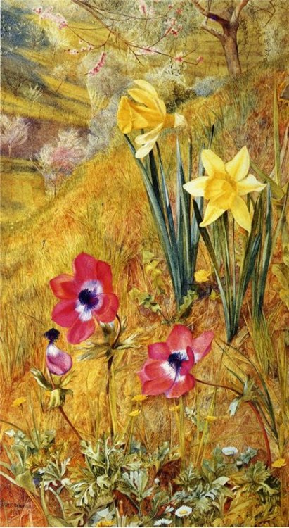 Anemones and Daffodils, Henry Roderick Newman (1843-1917)