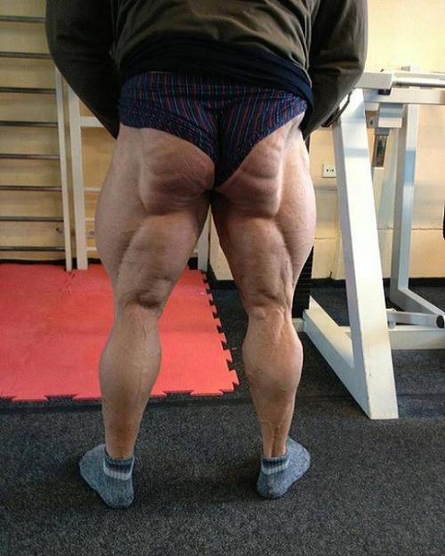 needsize:  Jaroslav Paseka
