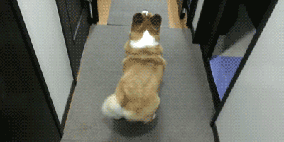 waiting for the book i ordered to arrive
