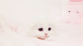ihearteng:  △   