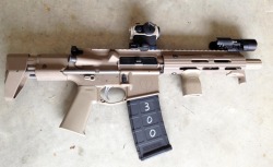 tacticallurk:  One serious SBR with an NEA CCS stock.