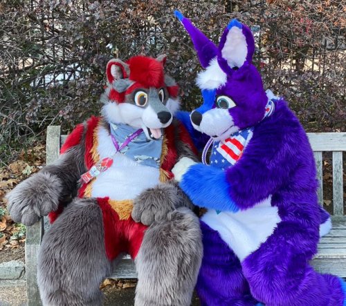 RT @shadow_raccoon: Not only is today #FursuitFriday but also it is one year ago today that I moved 