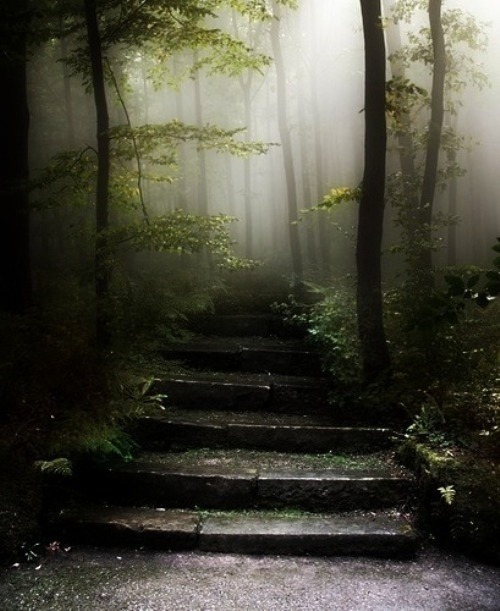 ronbeckdesigns:  Forest Stairs, Sintra, Portugal.