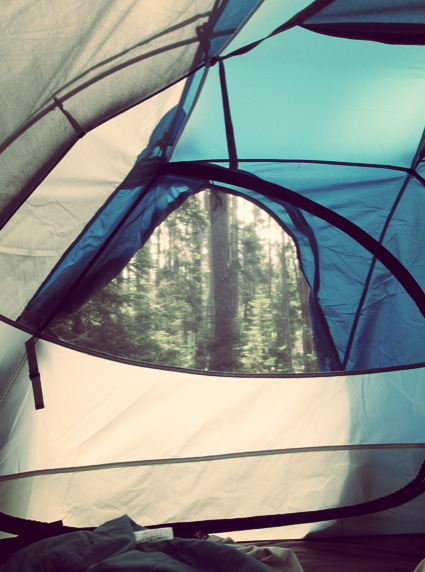 scent-of-pine:View from the tent in Quetico Provincial Park