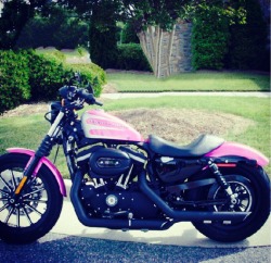 palpetine-princess:  HD sportster 883 my