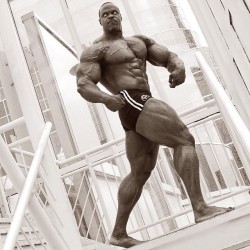 houseofsupplements:  Was Paul Dillet the