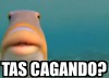 luisonte:Mientras tanto el pez