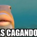luisonte:Mientras tanto el pez