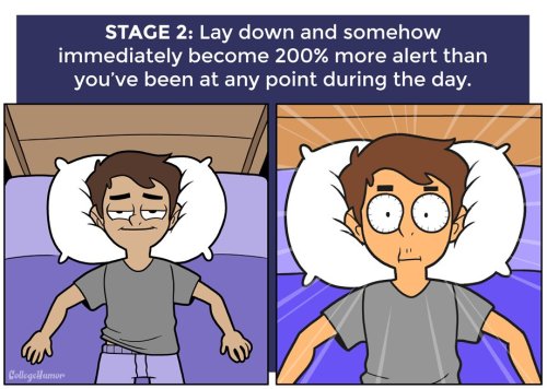 mandopony:ambris-art:pr1nceshawn:The 7 Stages of Not Sleeping at NightEvery damn timethe truest post