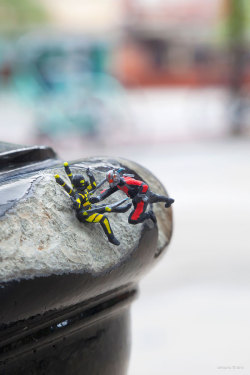 archiemcphee:  Ant-Man has been spotted on the streets of London! That is, spotted by folks with their eyes peeled for impossibly tiny people. In a perfect pairing of subject matter and artist, Marvel commissioned London-based street artist Slinkachu
